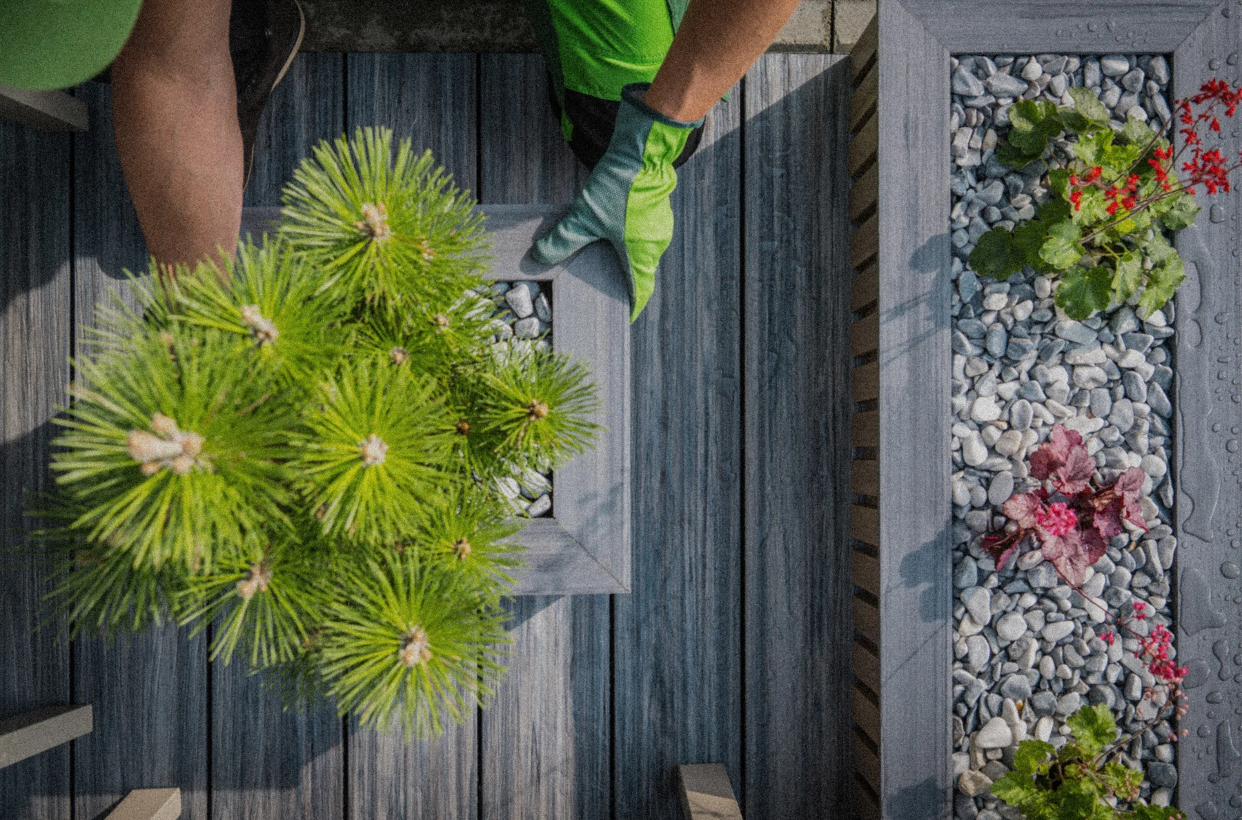 Garden Design