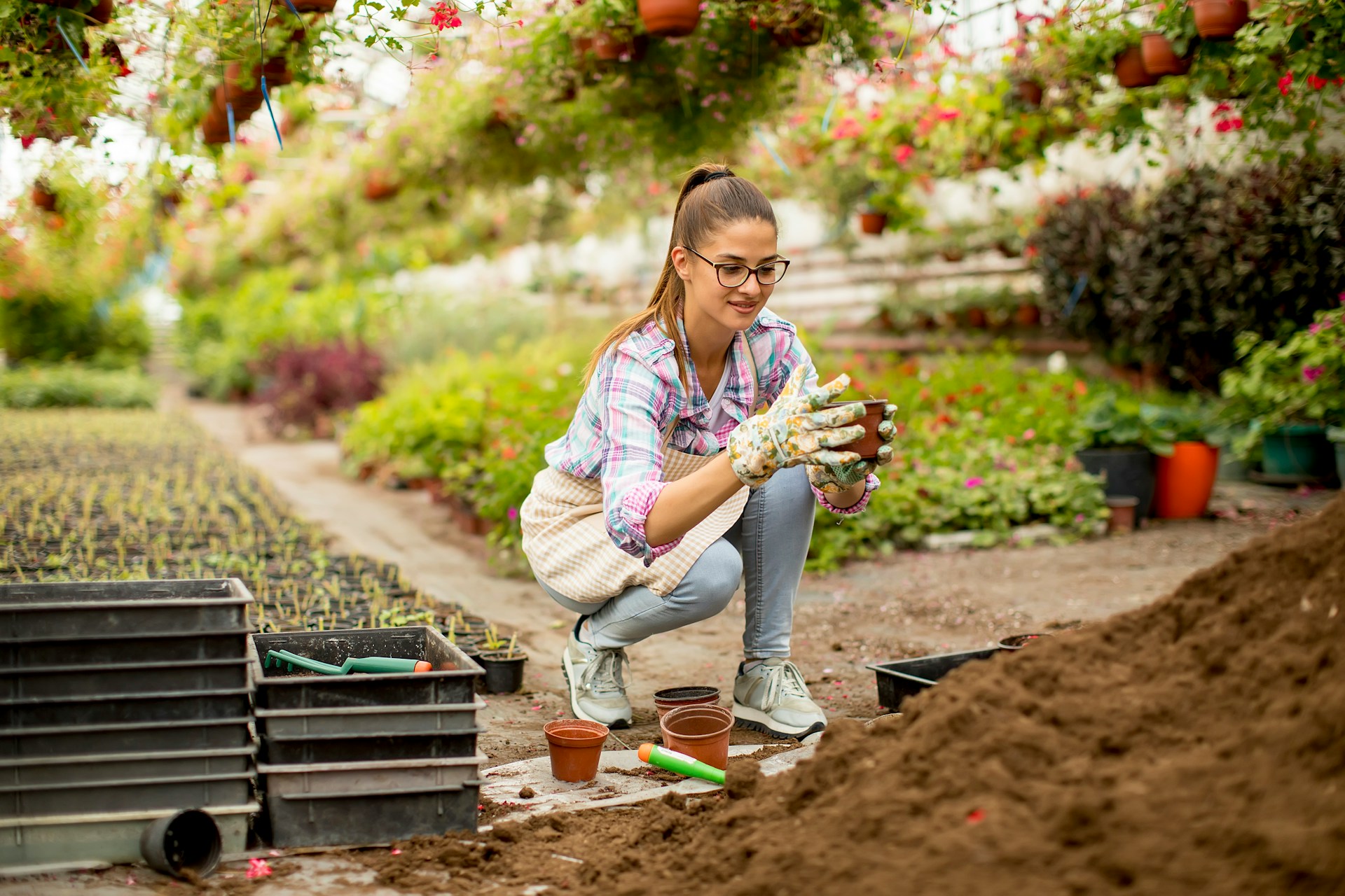 What to Expect From a Garden Design Certificate Course