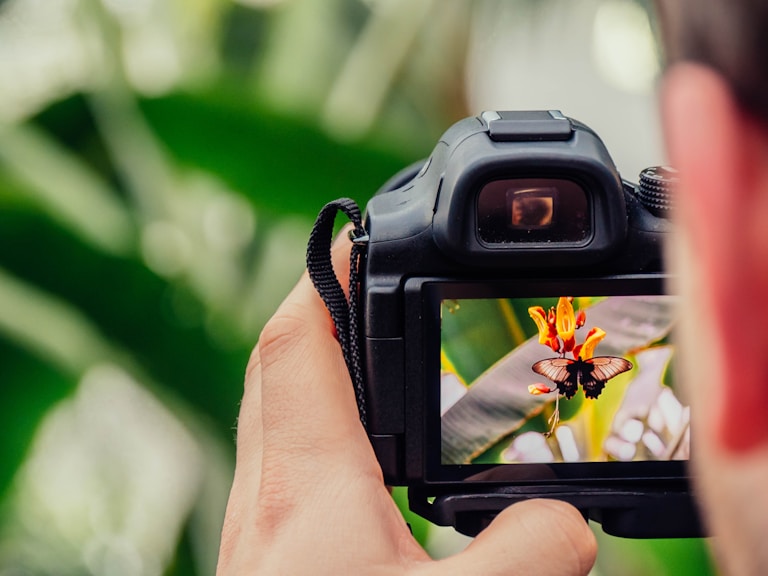 Advanced Photography Techniques for Professionals