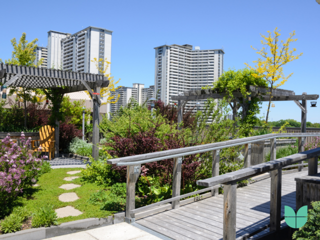 A urban rooftop garden style with trees, shade area with seating area and flowers.