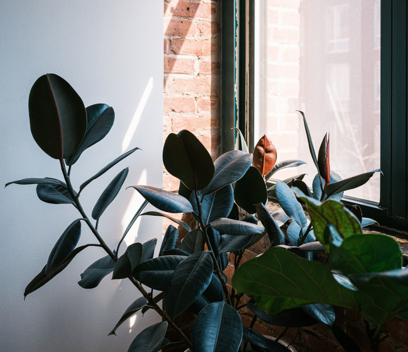  The Rise of Sustainable Interior Design: Eco-Friendly Solutions for Modern Spaces