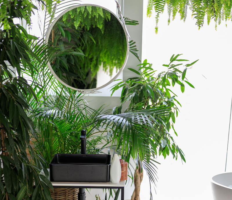 Incorporating Biophilic Design: Bringing Nature Indoors