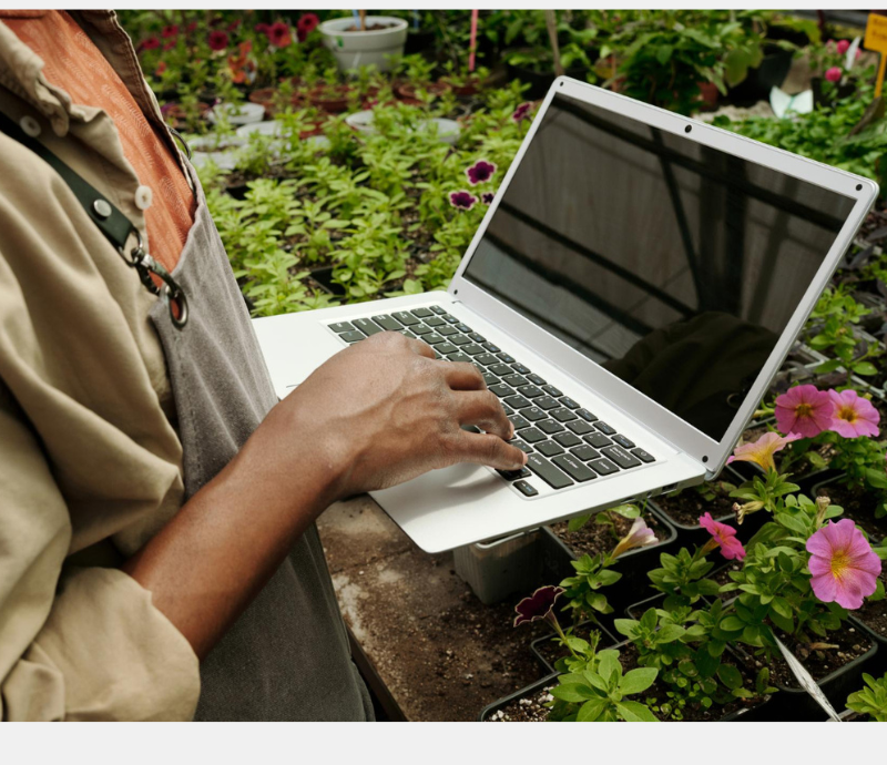 Cultivate Your Passion with Our Range of Study Modes at The British Academy of Garden Design