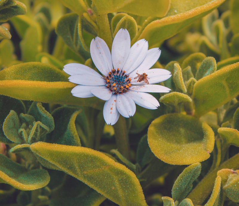 The Power of Post-Processing: Elevating Your Photos with Lightroom and Photoshop