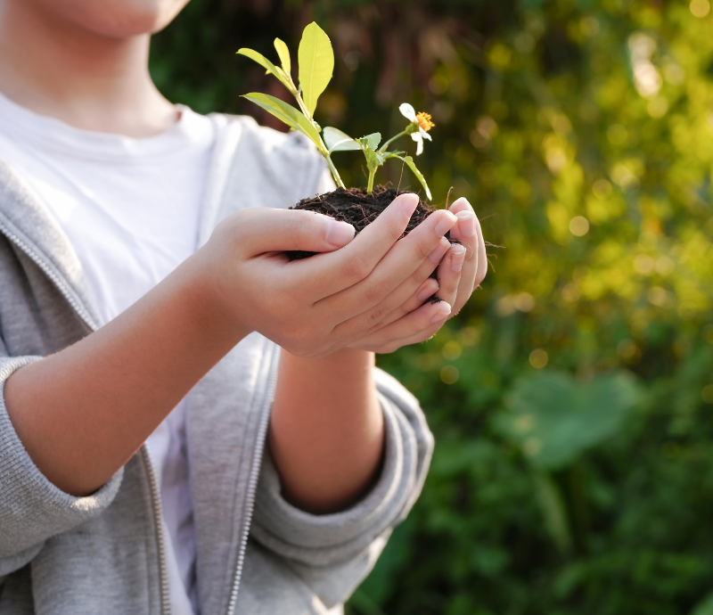 A Guide to Eco-Friendly Gardening