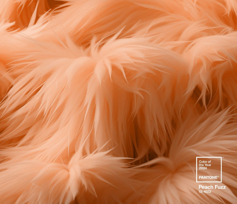  Peach Fuzz: The Colour of the Year 2024