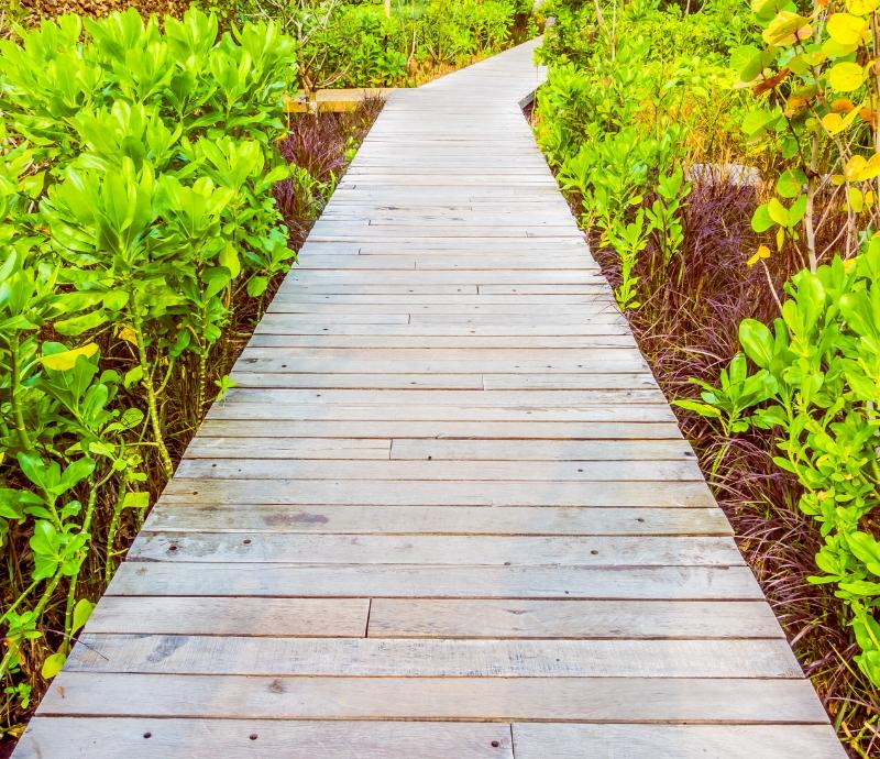 Choosing the Right Pavers for Your Garden
