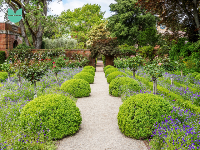 An image of a English garden style with rounded hedges, beautiful flowers, & symmetric type design, with sand & brick sidewalks and footpaths.
