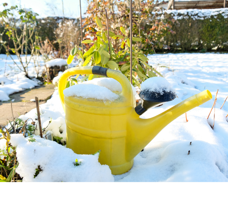 Winter Garden Design Tips