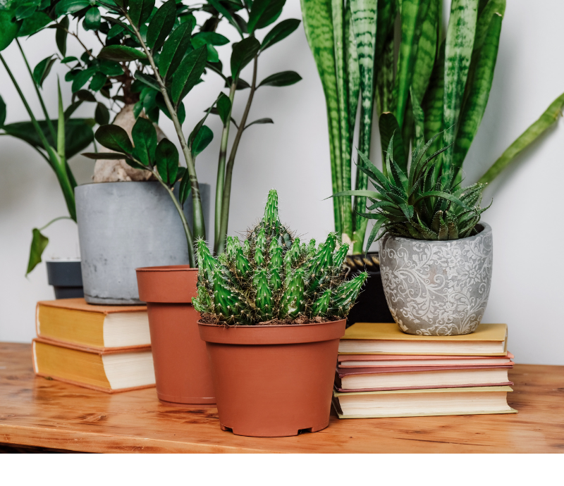 Interior Design Trends for 2024