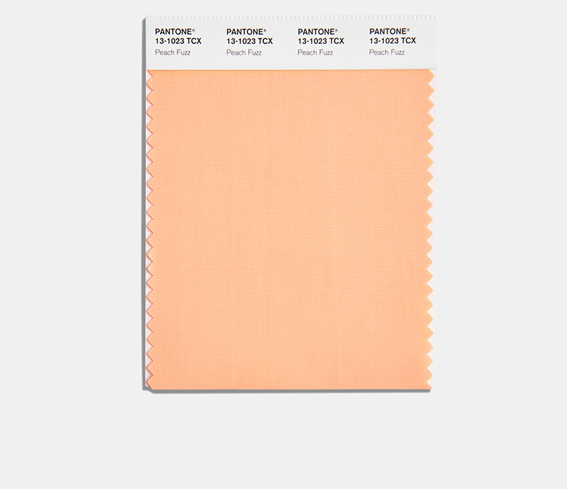 Embracing Peach Fuzz: The Interior Design Colour of the Year