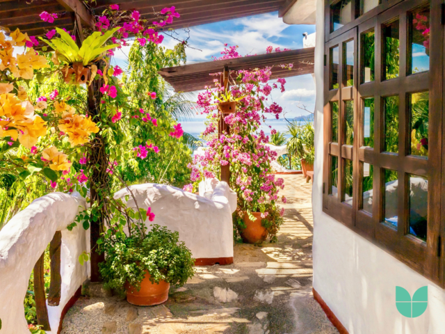 A Mediterranean Garden style with bright flowers and plants.