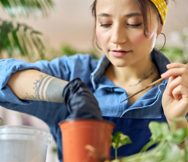 Nature's Caretaker: Your Career in Garden Design