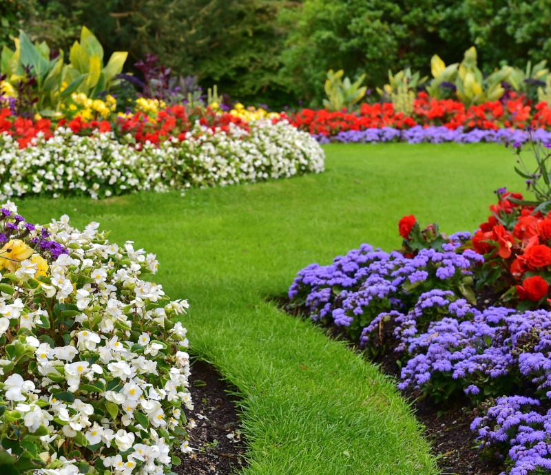 Designing for Privacy: How to Create a Secluded Garden